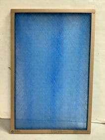 True Blue filter(new in package-20x30x1)