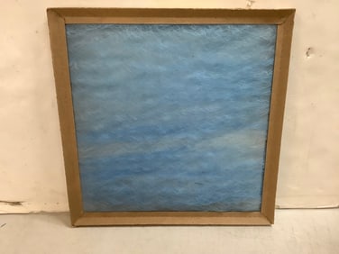 Purolator II Air Filter (16inx16inx1in)