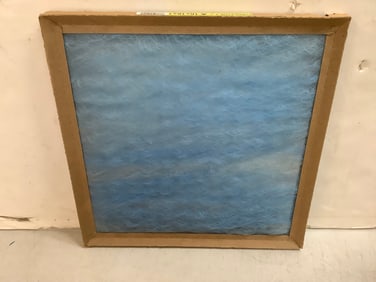 Purolator II Air Filter (16inx16inx1in)