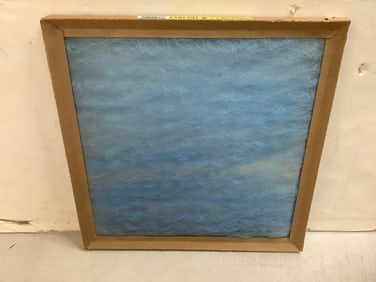 Purolator II Air Filter (16inx16inx1in)