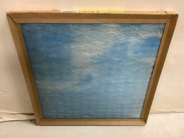 Purolator II Air Filter (16inx16inx1in)