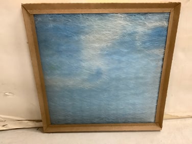 Purolator II Air Filter (16inx16inx1in)