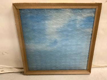 Purolator II Air Filter (16inx16inx1in)