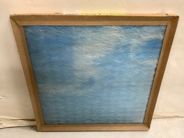 Purolator II Air Filter (16inx16inx1in)