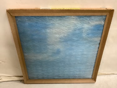 Purolator II Air Filter (16inx16inx1in)