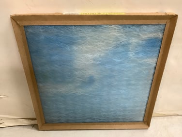 Purolator II Air Filter (16inx16inx1in)