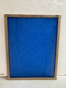 True Blue air filter(20x25x1)