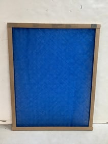 True Blue air filter(20x25x1)