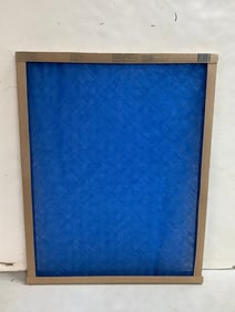 True Blue air filter(20x25x1)