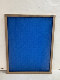 True Blue air filter(20x25x1)