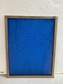 True Blue air filter(20x25x1)
