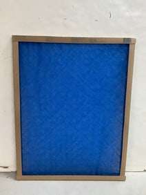 True Blue air filter(20x25x1)