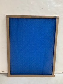 True Blue air filter(20x25x1)