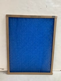 True Blue air filter(20x25x1)