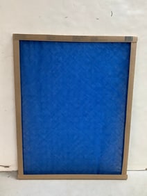 True Blue air filter(20x25x1)