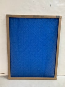 True Blue air filter(20x25x1)