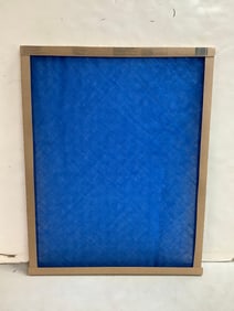 True Blue air filter(20x25x1)