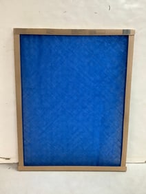 True Blue air filter(20x25x1)