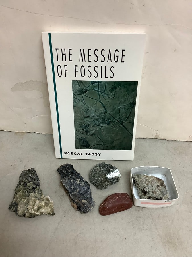 Various Crystals and Book (The Message of Fossils): Various Crystals and Book (The Message of Fossils)