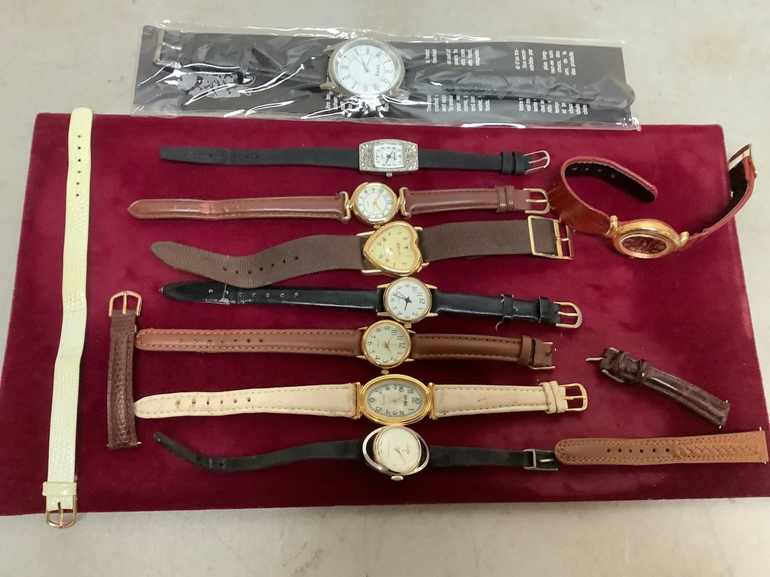 Various Watches (Eiger, Infinity, and more): Various Watches (Eiger, Infinity, and more)