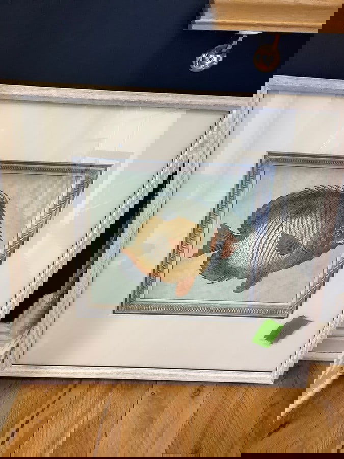 Framed fish artwork(29in.x29.75in.) (1 of 1)