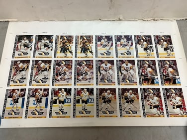 Hockey 1991-1992 back to back games cards on print(13in.x22in.)
