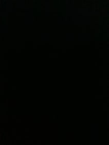 Various Rainbow Reef Figurine Collection (Tallest - 6.75in)