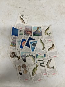 lot of the world of nature Coca-cola cards