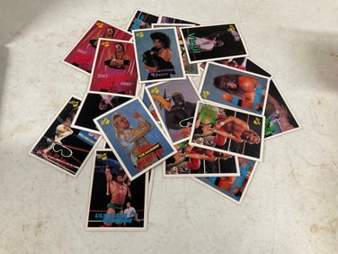 1990 Classic WWF Trading Cards