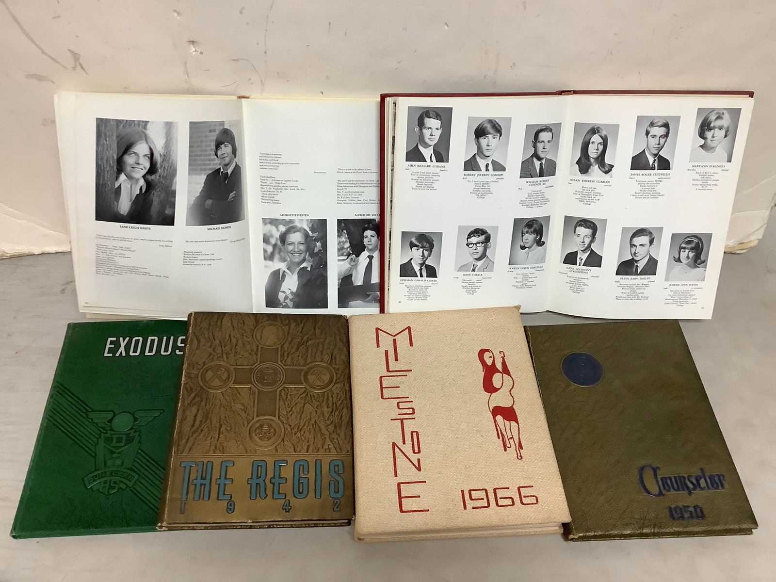 Vintage Yearbooks (1 of 1)