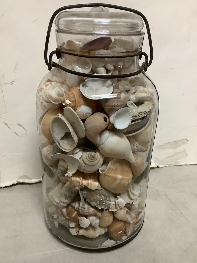 Glass Jar with Various Shells (9.5in Tall) (1 of 1)