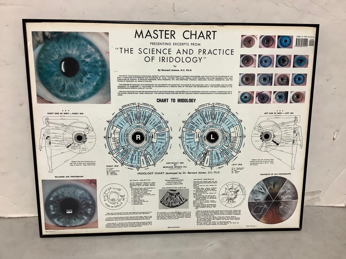 Master Chart of 'The Science and Practice of Iridology' (22.25inx26in): Master Chart of 'The Science and Practice of Iridology' (22.25inx26in)
