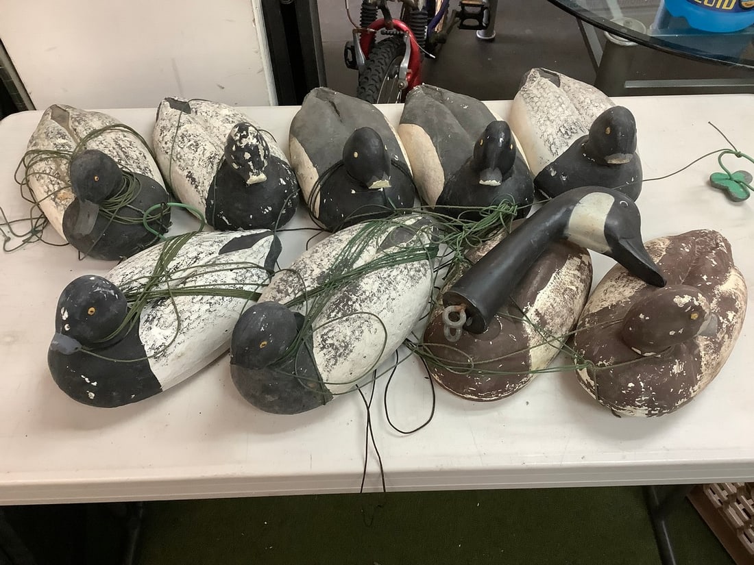 Duck decoys(various sizes): Duck decoys(various sizes)