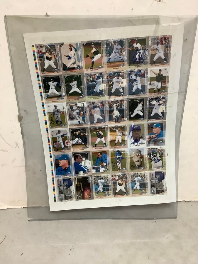 Storm Chasers 2011 Championship Baseball Cards Poster with some signatures (19inx25in): Storm Chasers 2011 Championship Baseball Cards Poster with some signatures (19inx25in)