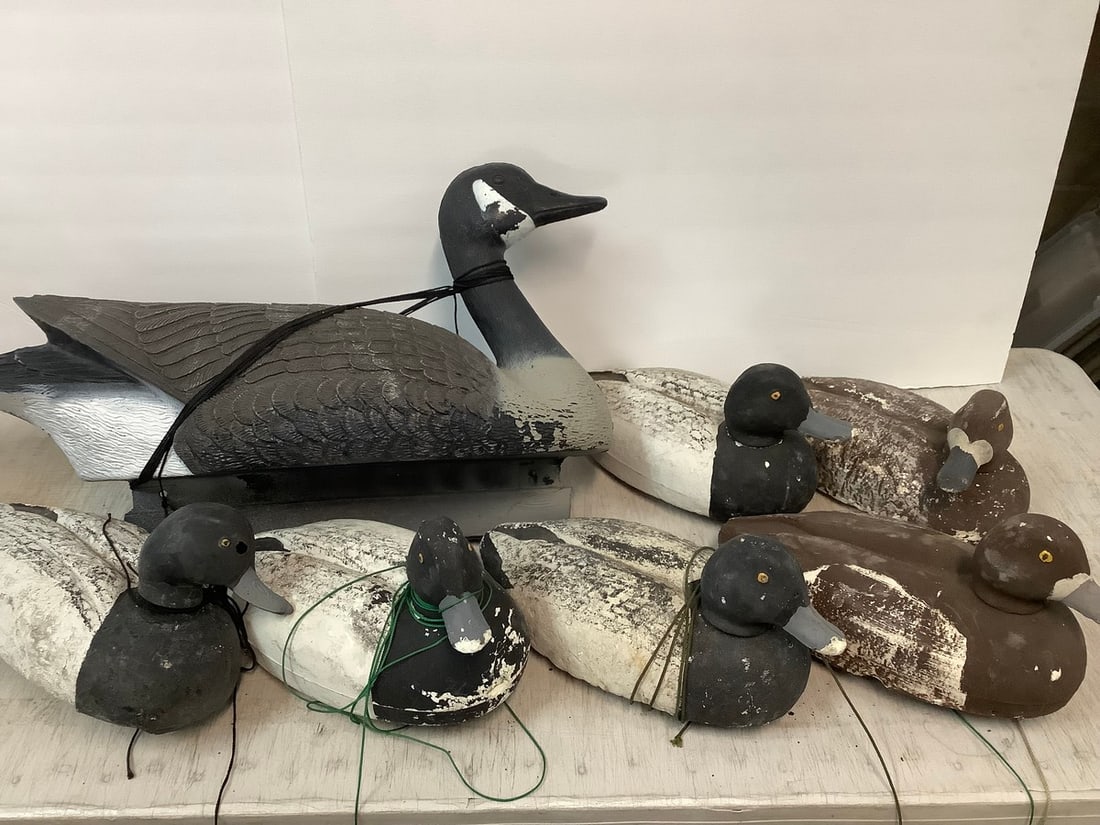 Duck decoys(various sizes): Duck decoys(various sizes)