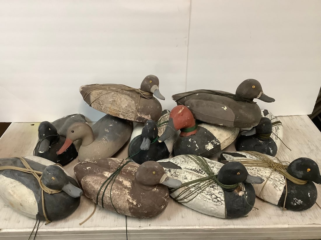 Duck decoys(various sizes): Duck decoys(various sizes)
