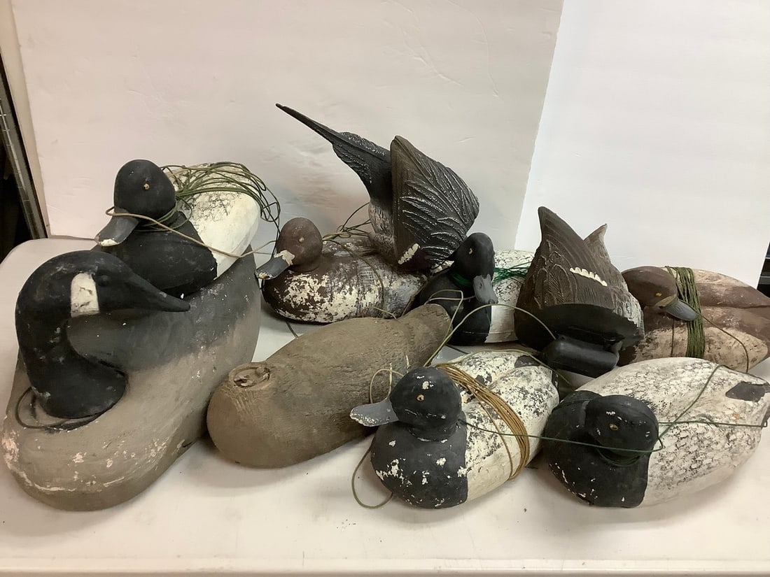 Duck decoys(various sizes): Duck decoys(various sizes)