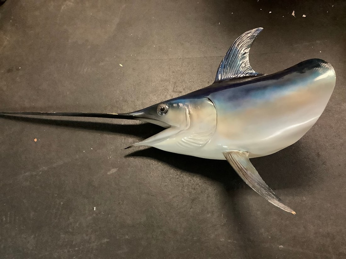 Early Taxidermy swordfish Wall Hanging(64in.long) (1 of 1)