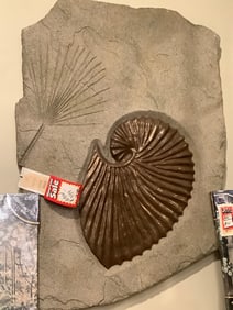 Hera bronze panel nova bronze/grey(47in.x34in.)