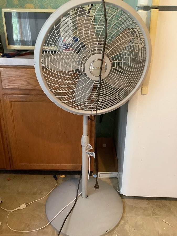 Lasko fan (1 of 1)