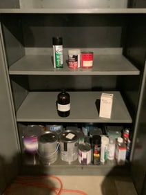 Contents of cabinet(paints and more)