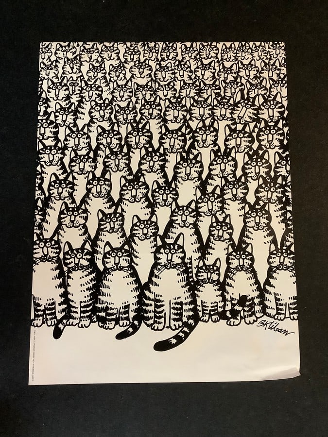 Signed Black and White Cat Art Print (18inx24in) (1 of 1)