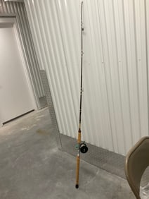 Berkley Buccaneer fishing rod, rod Penn Delmar #285