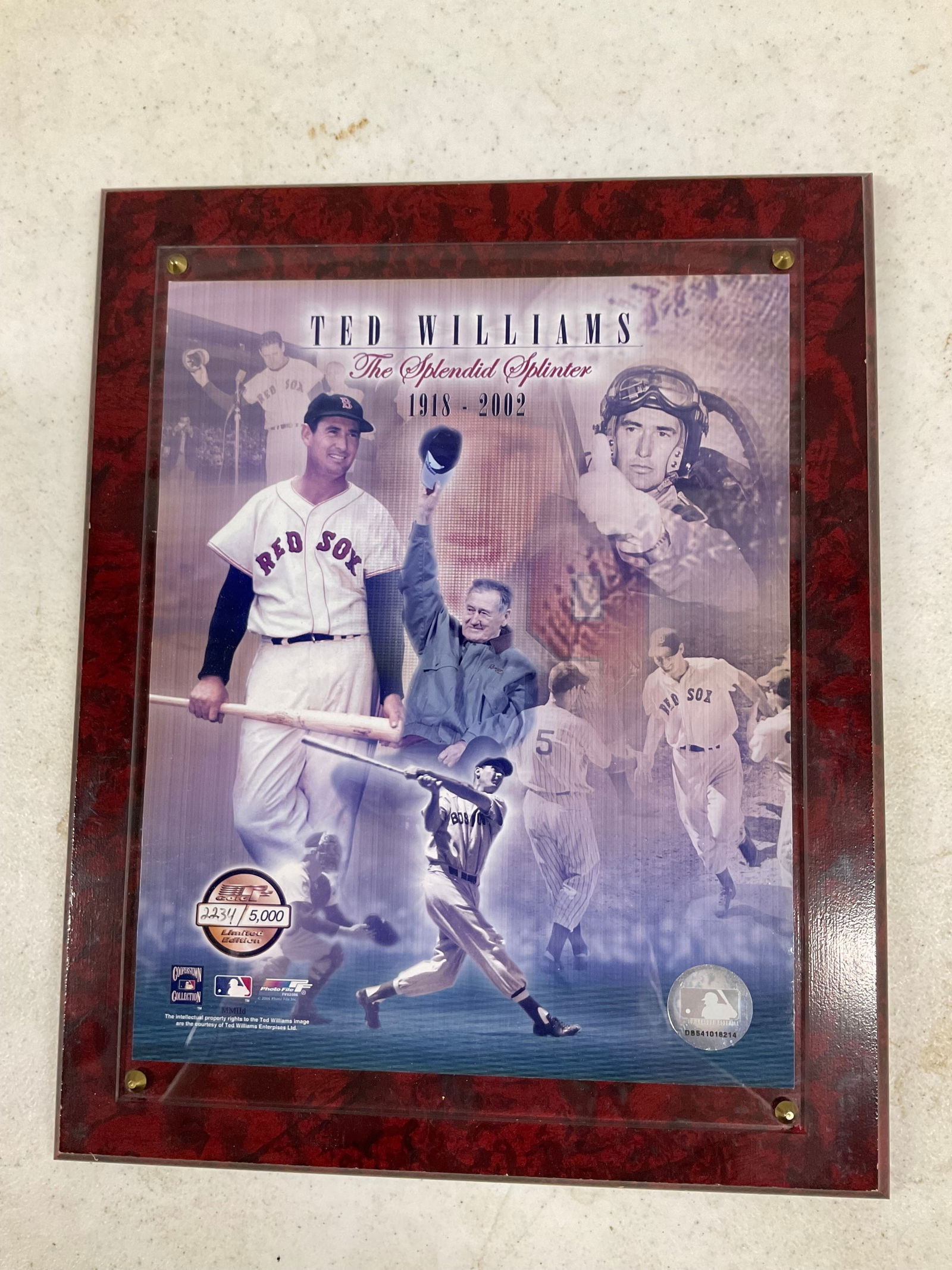 Ted Williams  Plaque 2234/5000 official MLB stamp (1 of 1)