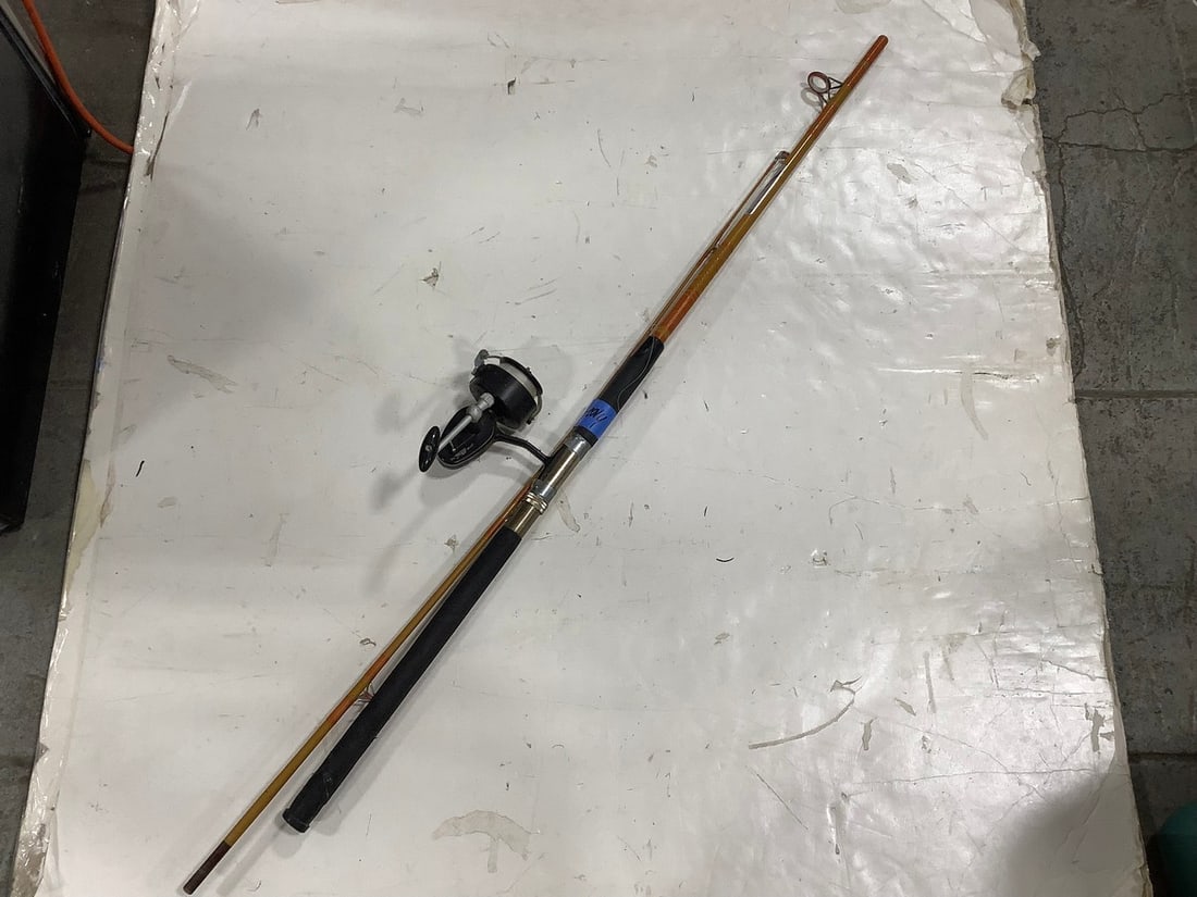 Fishing pole with reel: Fishing pole with reel