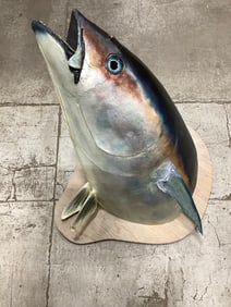 Bluefin tuna taxidermy fish decor(32in.long-year not listed)
