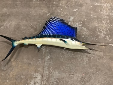 Taxidermy Sailfish decor(65in.x30)