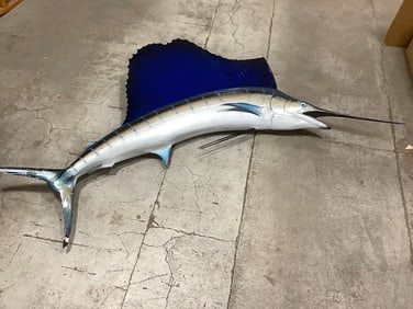 1973 Sailfish taxidermy decor(85in.x48in.)