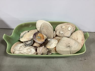 Ceramic Tray (16.5inx9inx4in) with Various Seashells