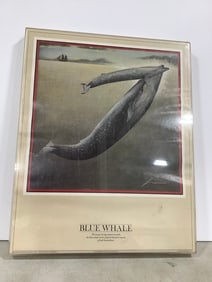 Framed Blue Whale print(16in.x20in.)
